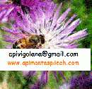 Foto API NUCLEI 2024 consegna in A22 tra TN e MN Foto API NUCLEI 2024 consegna in A22 tra TN e MN