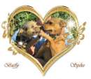Foto BUFFY E SPIKE, un amore infinito