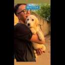 Foto CUCCIOLI IN ADOZIONE