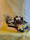 Foto Mini mini toy Yorkshire Terrier