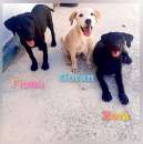 Foto Portami a fare due passi nel mondo