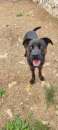 Foto Tayson