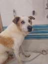 Foto Willy Salvatore, anziano dall'animo gentile